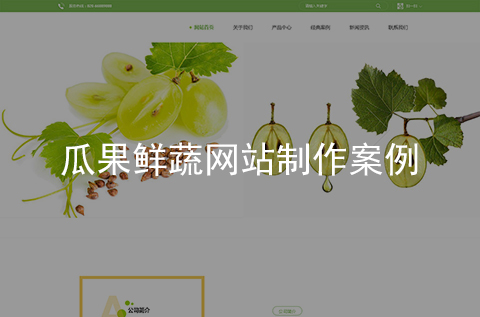 瓜果鮮蔬網(wǎng)站制作案例（石家莊網(wǎng)站建設(shè)案例）