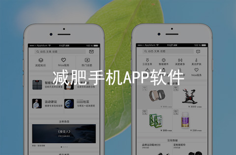 減肥手機APP開發(fā)案例