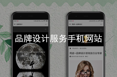 品牌設(shè)計(jì)服務(wù)手機(jī)網(wǎng)站制作案例