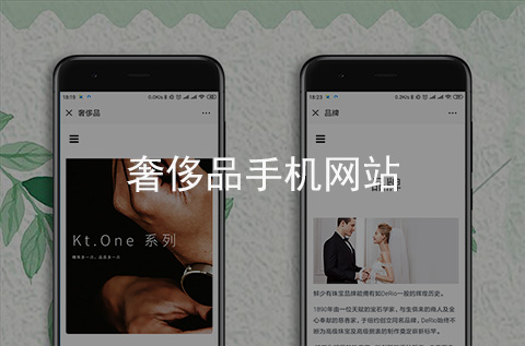 奢侈品手機(jī)網(wǎng)站制作案例