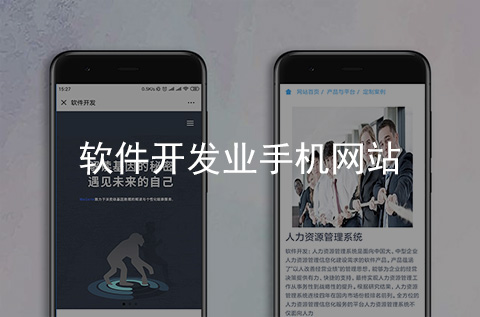 軟件開發(fā)企業(yè)手機(jī)網(wǎng)站制作案例