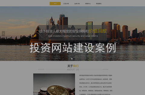 投資網(wǎng)站制作案例