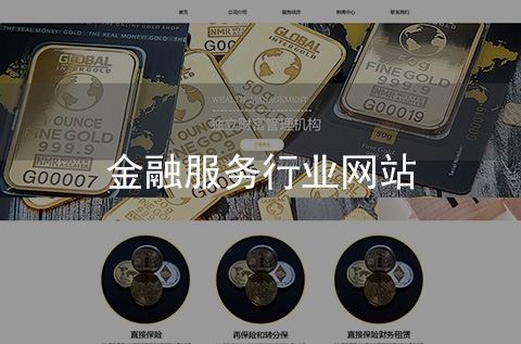 金融保險行業(yè)網(wǎng)站制作案例