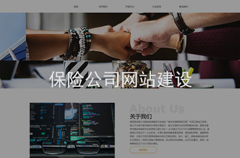 保險公司網(wǎng)站建設案例