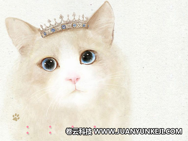 寵物手機(jī)APP制作都有哪些專業(yè)技術(shù)的要求 寵物手機(jī)APP制作都有哪些專業(yè)技術(shù)的要求